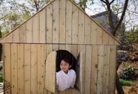 2020070147b37a7f1f649039.jpg 2020070147b37a7f1f649039.jpg