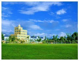 20200701d0ca75fbb7b8d2d2.jpg 20200701d0ca75fbb7b8d2d2.jpg